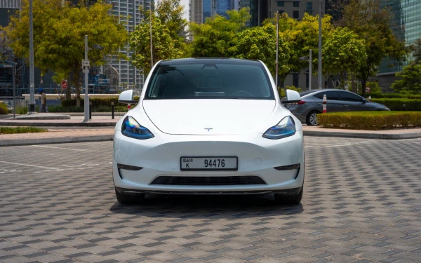 Tesla Model Y Long Range (White), 2022