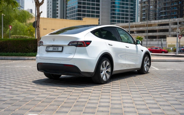 Tesla Model Y Long Range (White), 2022