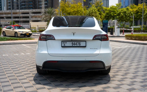 Tesla Model Y Long Range (White), 2022