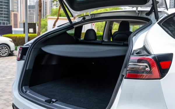 Tesla Model Y Long Range (White), 2022
