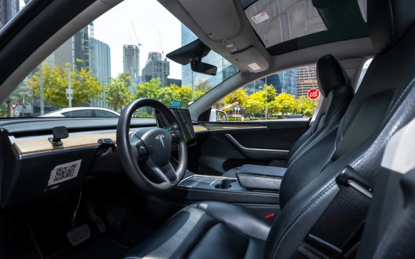 Tesla Model Y Long Range (White), 2022