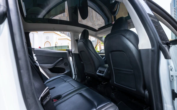 Tesla Model Y Long Range (White), 2022