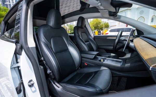 Tesla Model Y Long Range (White), 2022