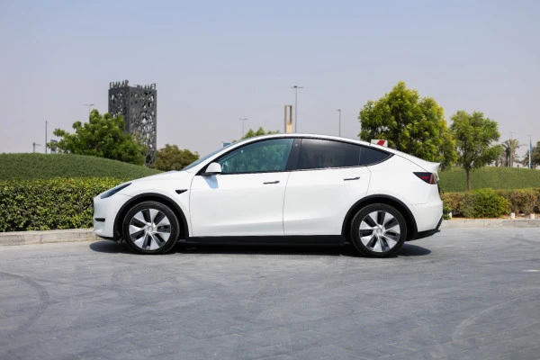 Tesla Model Y Long Range (White), 2022