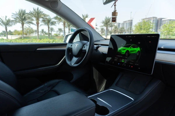 Tesla Model Y Long Range (White), 2022
