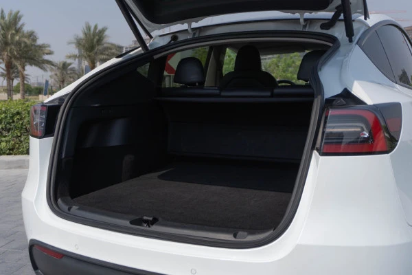 Tesla Model Y Long Range (White), 2022