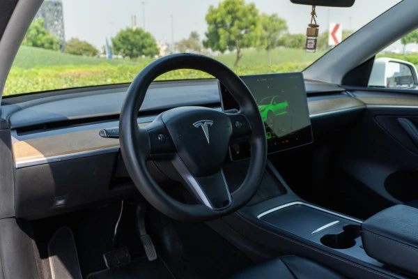 Tesla Model Y Long Range (White), 2022