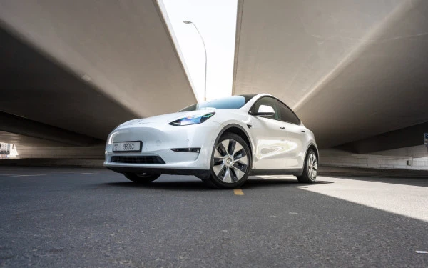 Tesla Model Y Long Range (White), 2022