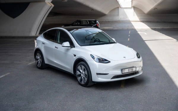 Tesla Model Y Long Range (White), 2023