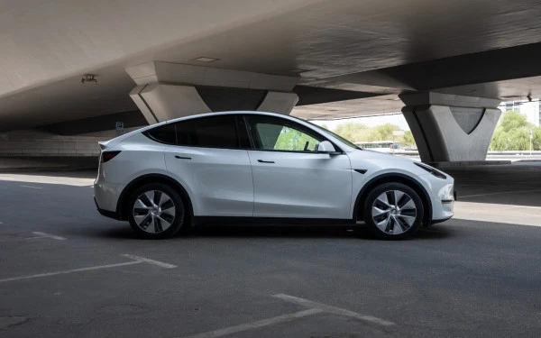 Tesla Model Y Long Range (White), 2023