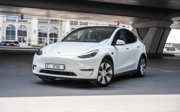 Tesla Model Y Long Range (White), 2023
