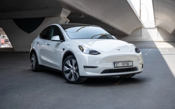 Tesla Model Y Long Range (White), 2023