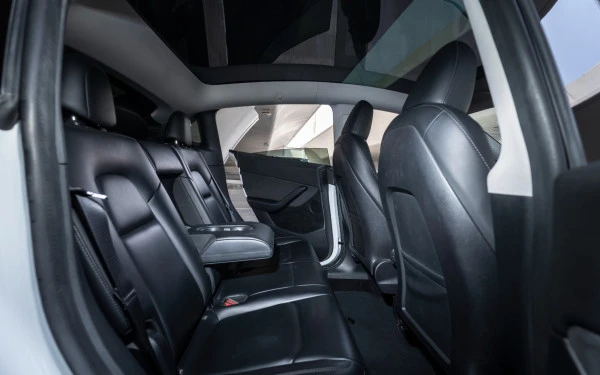 Tesla Model Y Long Range (White), 2023