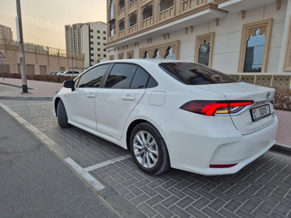 Toyota Corolla Hybrid (White), 2025