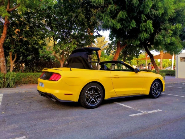 Ford Mustang cabrio (Желтый), 2018